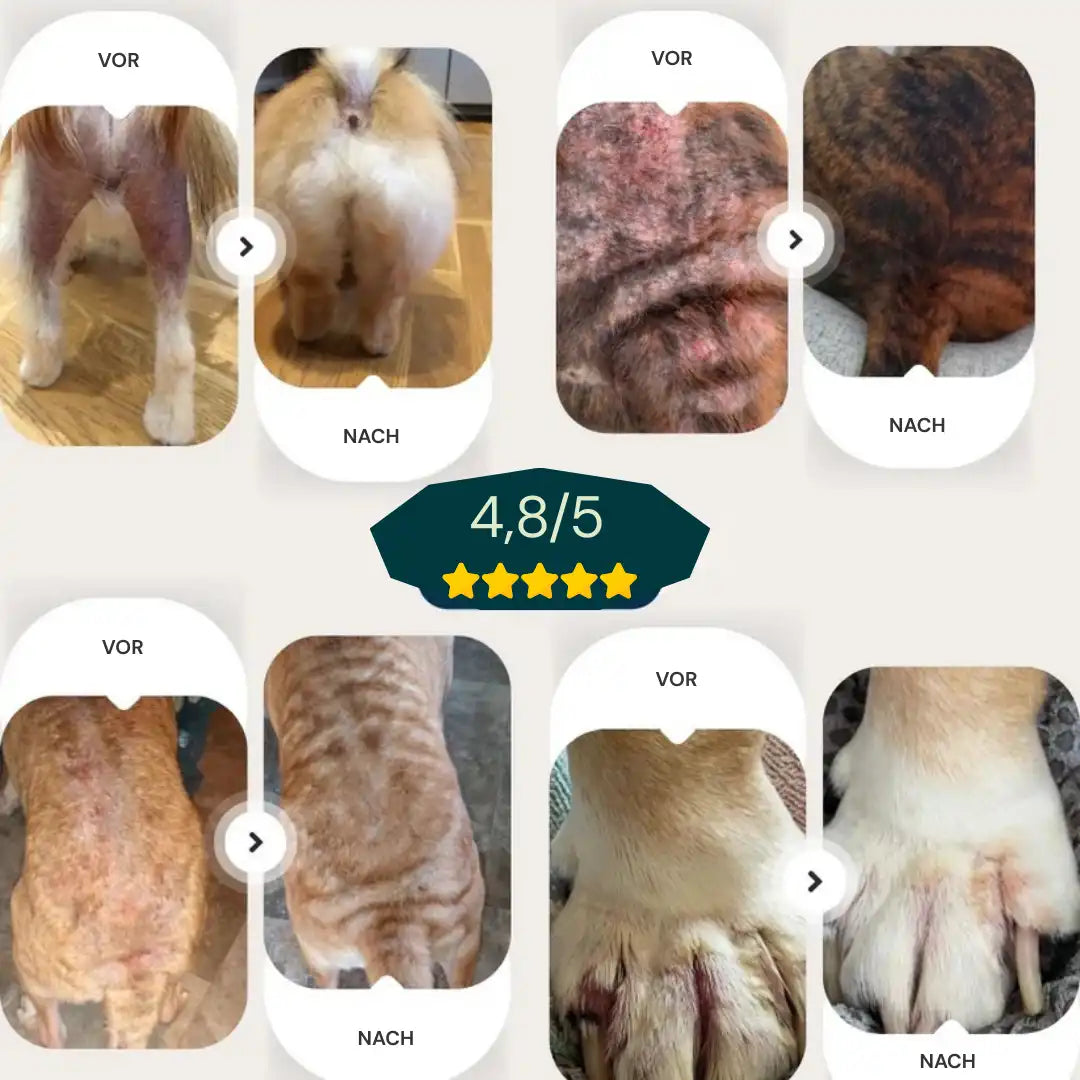 Fellvana™ Tierarzt-geprüftes Hautberuhigungs-Spray